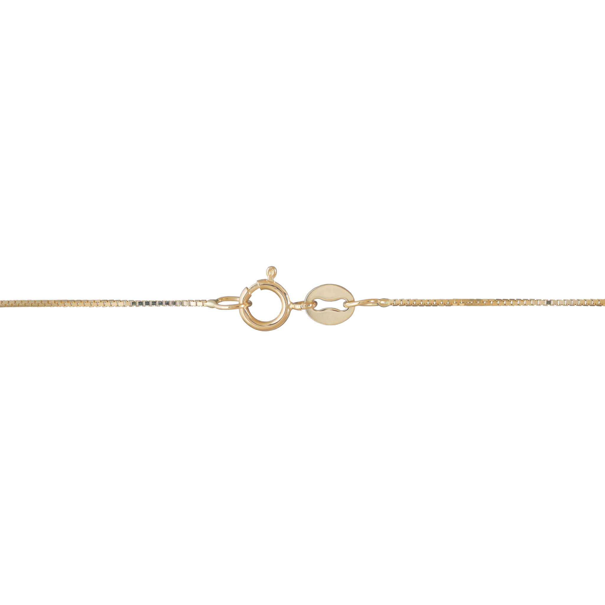 Gold box chain necklace showing a detailed shot of the clasp on a white background
