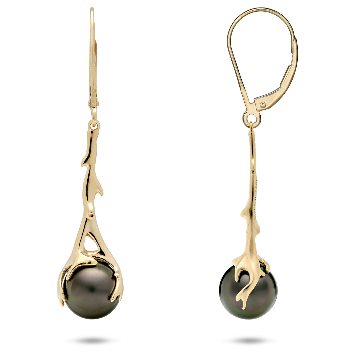 A pair of 14k yellow gold leverback dangle drop earrings with a coral branch design that flows vertically down and wraps Tahitian black pearls, shown front facing and side facing on a white background.