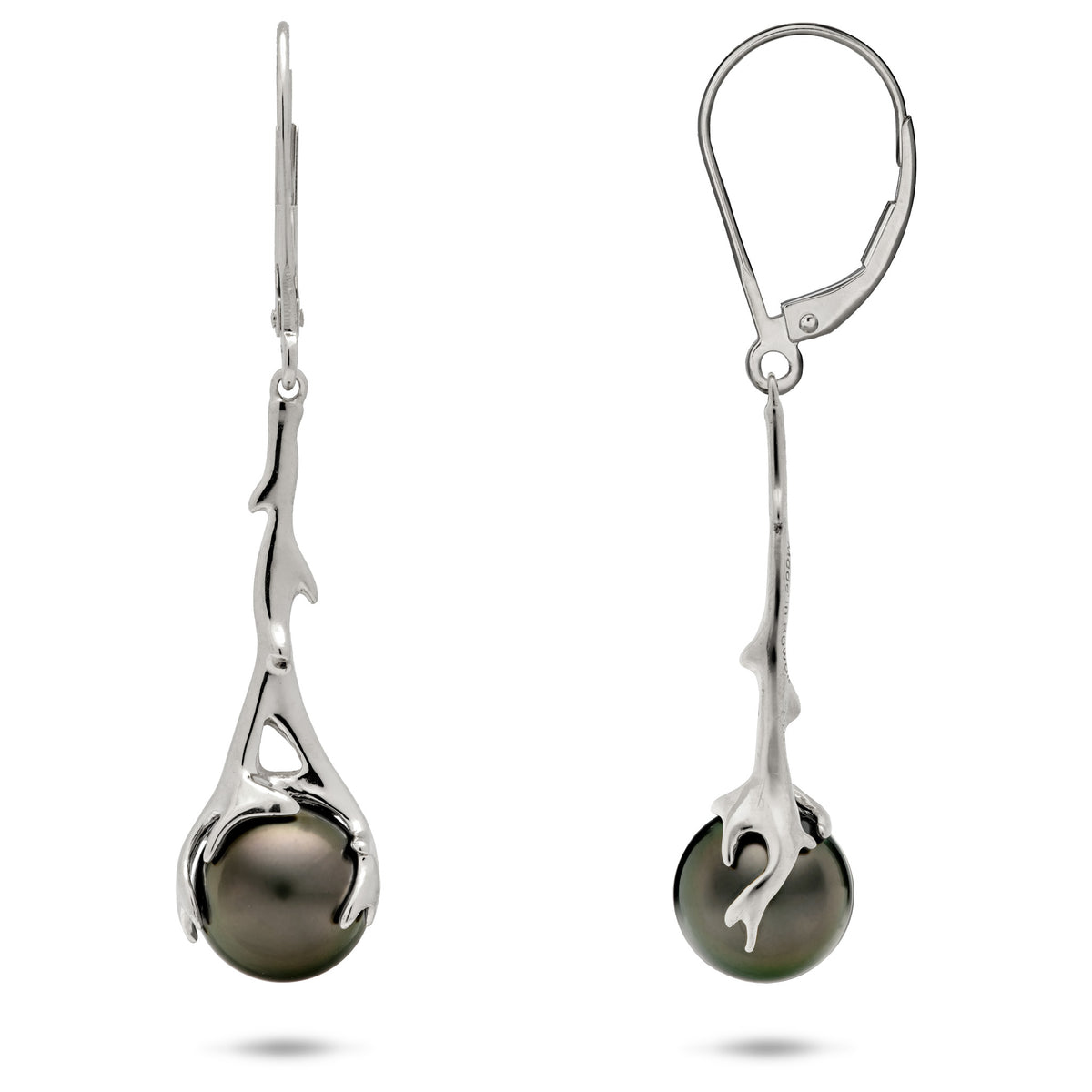 A pair of 14k white gold leverback earrings with a dangling deep-sea coral branch design that wraps a 9-10mm Tahitian black pearl at the bottom, shown with a front and side view on a white background