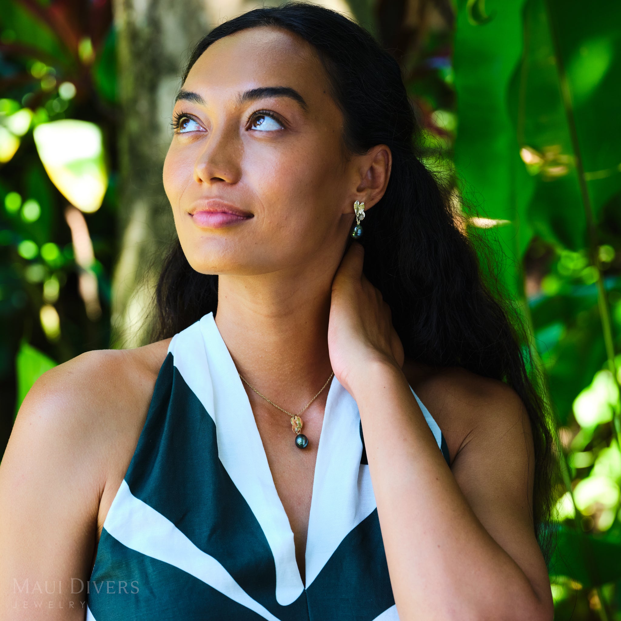 Kalo Tahitian Black Pearl Earrings in Gold - 10-12mm