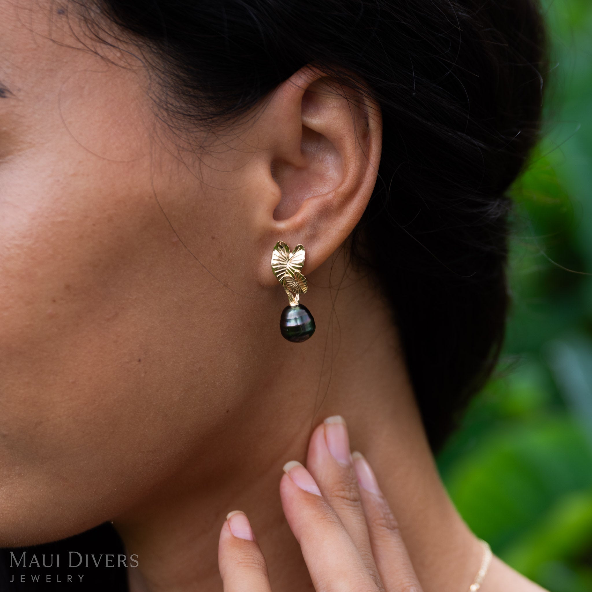 Kalo Tahitian Black Pearl Earrings in Gold - 10-12mm