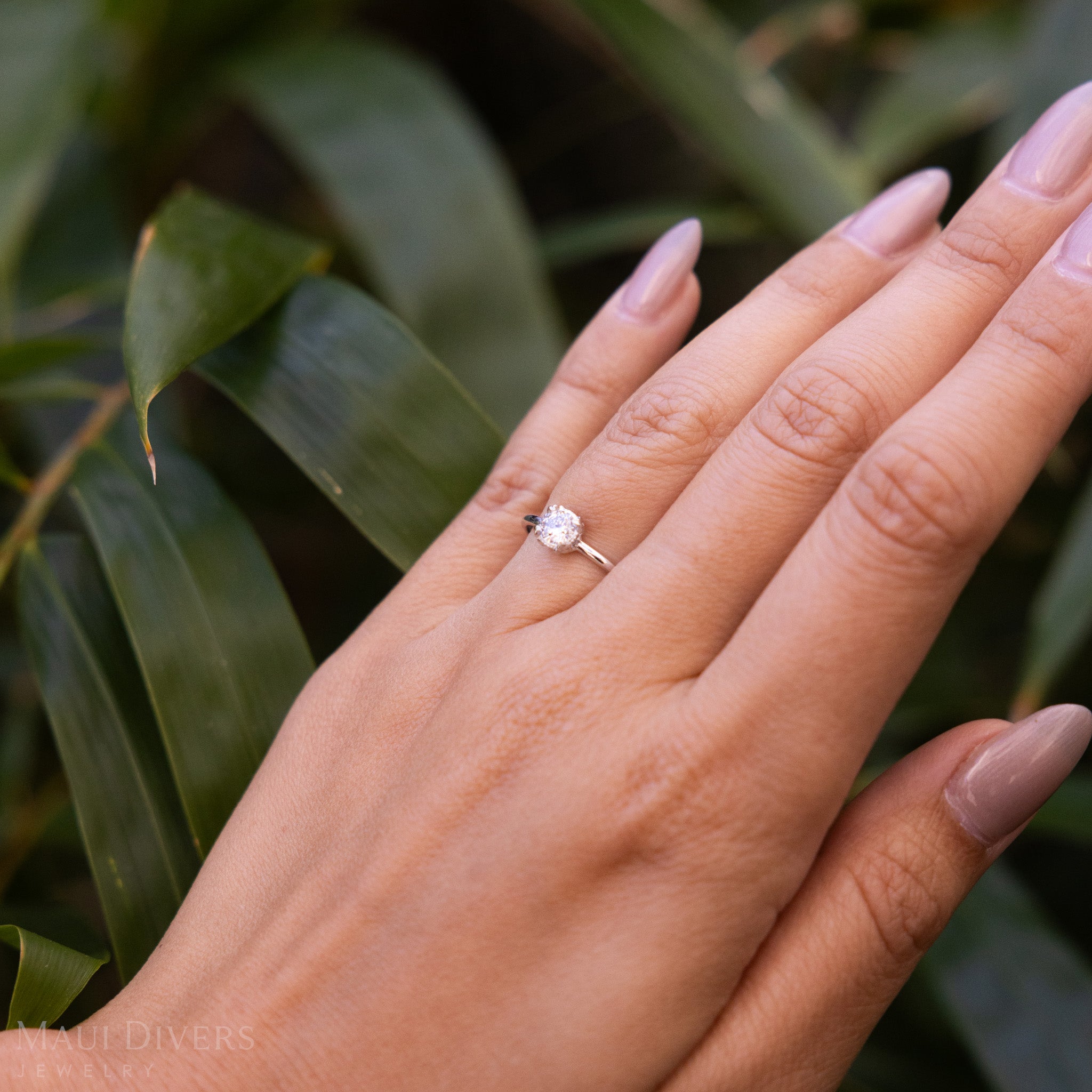 Close-up of a hand wearing a Hidden Hawaiʻi Maile Lab Grown Diamond Ring in 14k white gold on a ring finger, against a blurred leafy background