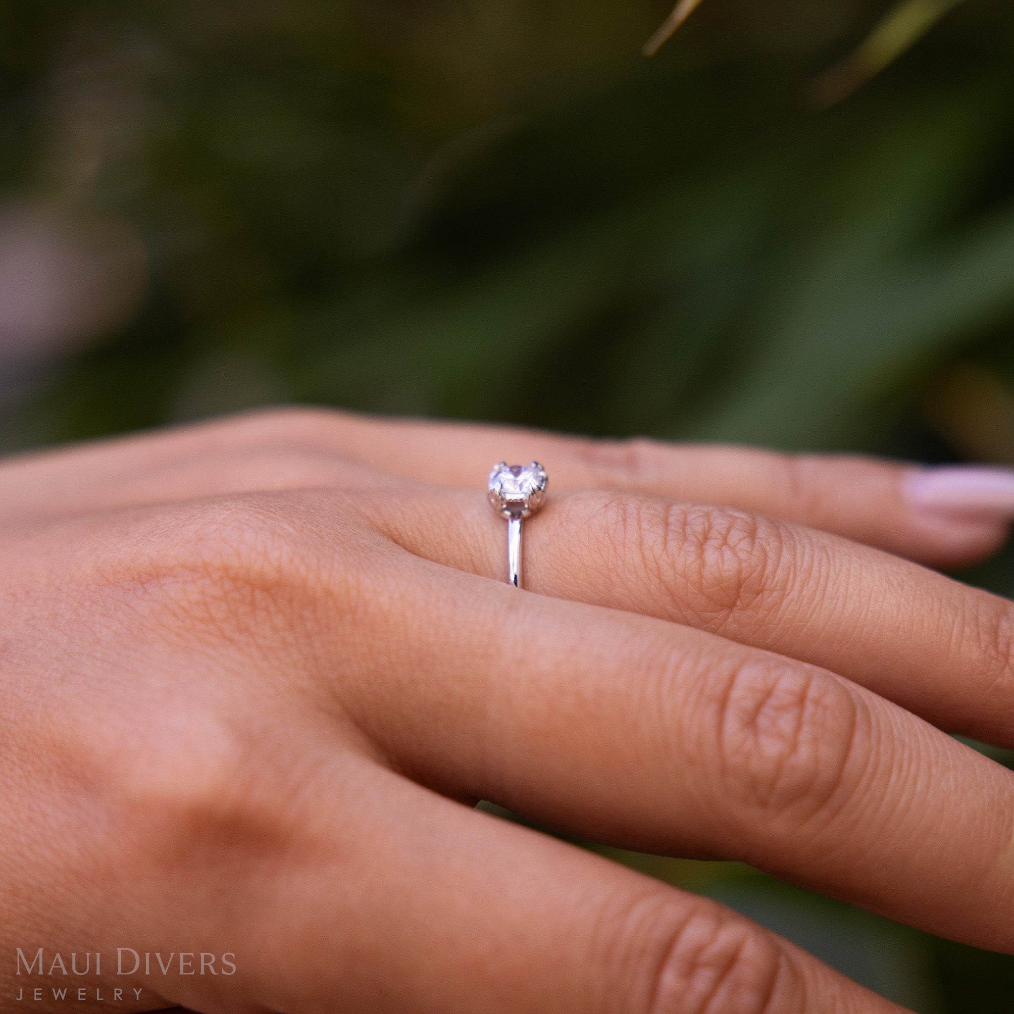 Close-up side view of a hand wearing a Hidden Hawaiʻi Maile Lab Grown Diamond Ring in 14k white gold on a ring finger, against a blurred leafy background