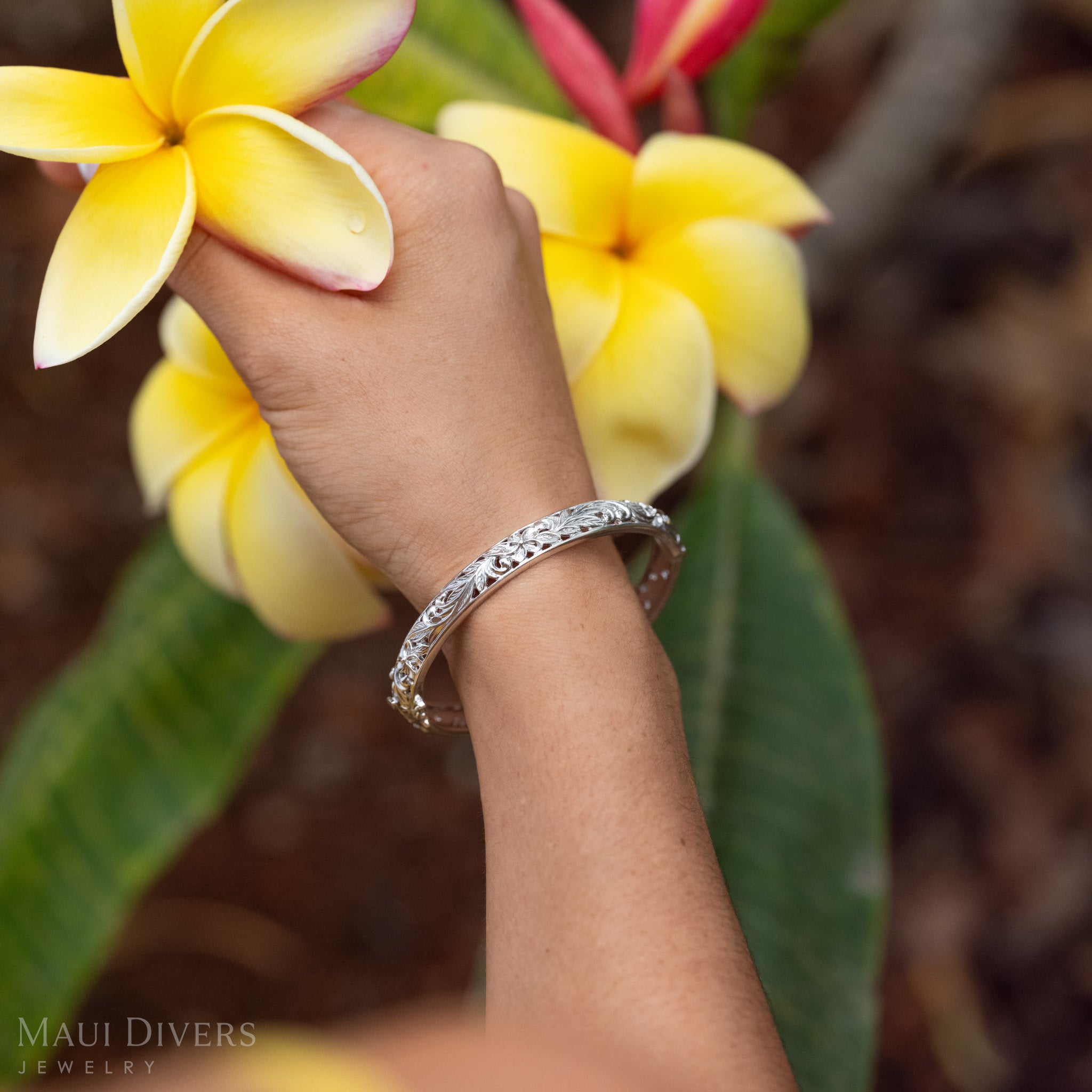 Hawaiian Heirloom Plumeria Hinge Bracelet in Sterling Silver on a woman's wrist while she picks a yellow plumeria flower.