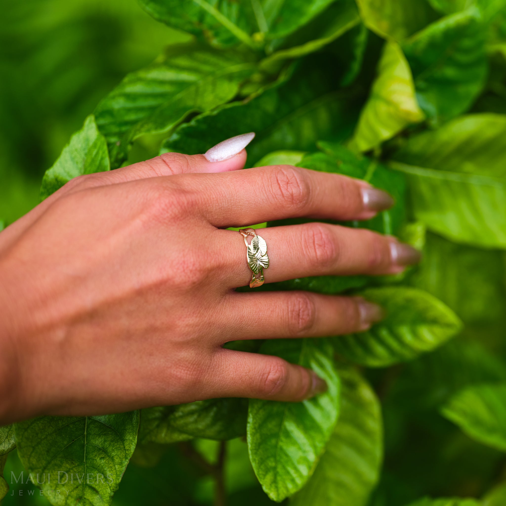 Kalo Ring in Gold - 8mm