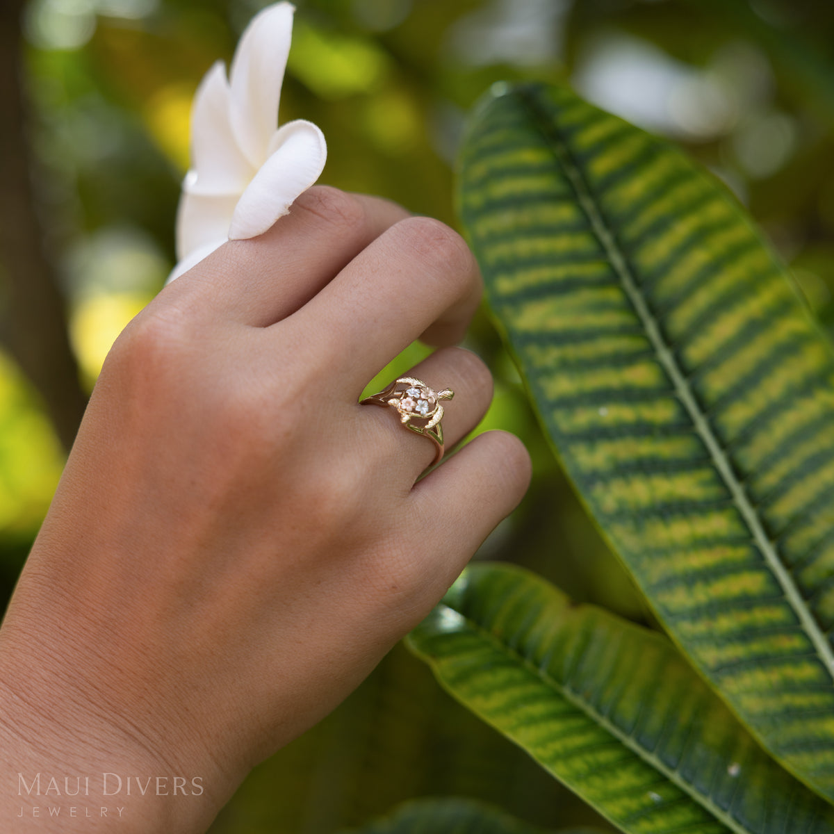 Close-up of a hand picking a plumeria and wearing a gold sea turtle ring with plumeria flowers in rose and white gold on its back against a blurry plumeria tree background