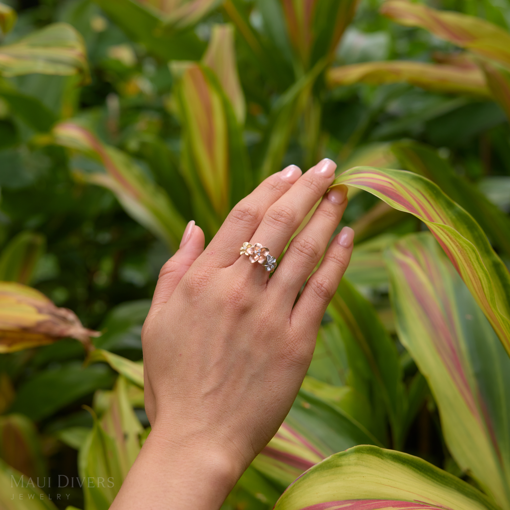 Plumeria Ring in Tri Color Gold with Diamonds - 12mm