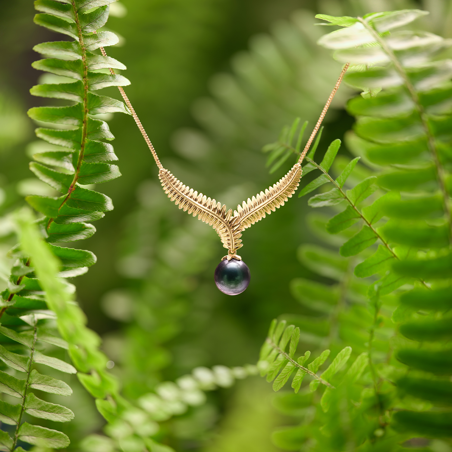 Gold kupukupu fern Tahitian black pearl necklace hanging from kupukupu ferns over a blurry kupukupu fern background