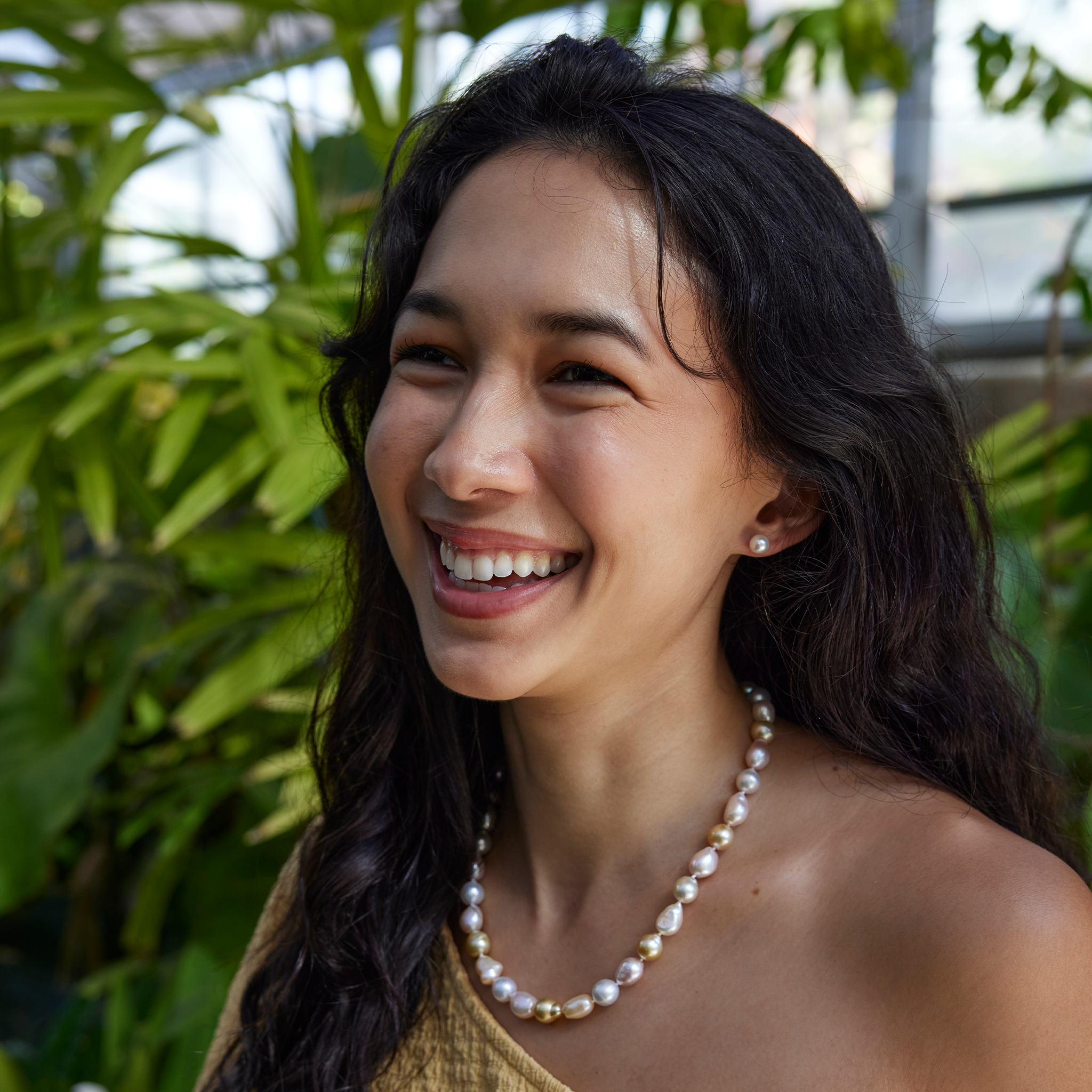 Akoya White Pearl Earrings in Gold - 7-7.5mm