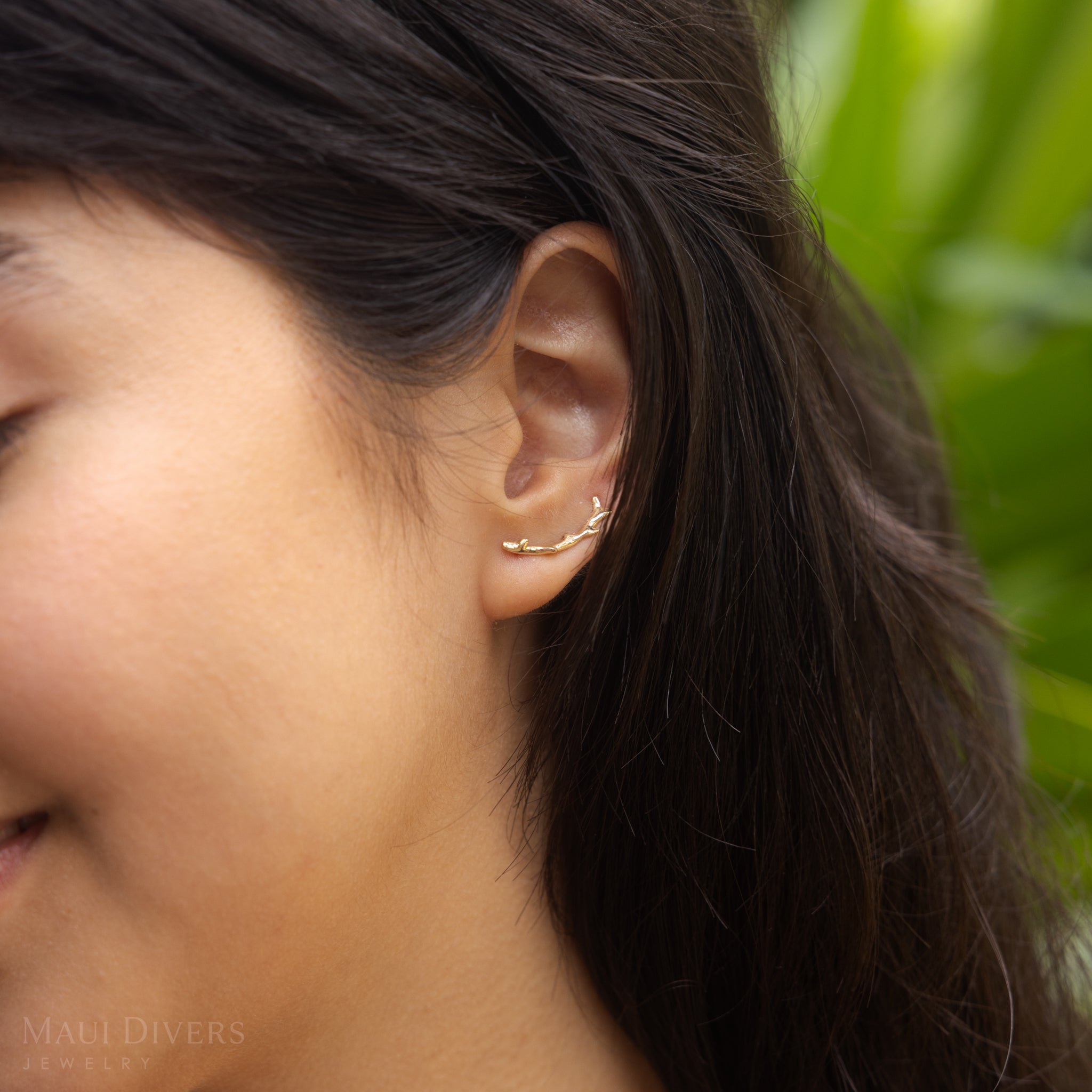 Heritage Climber Earrings in Gold