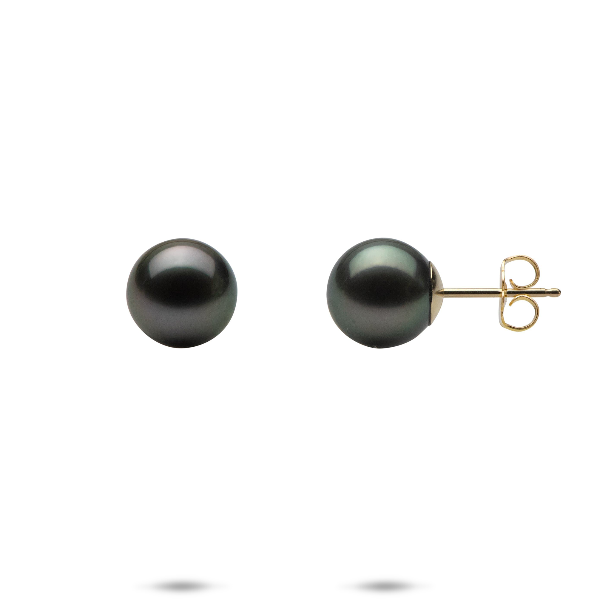Tahitian Black Pearl Earrings in Gold - 9-10mm