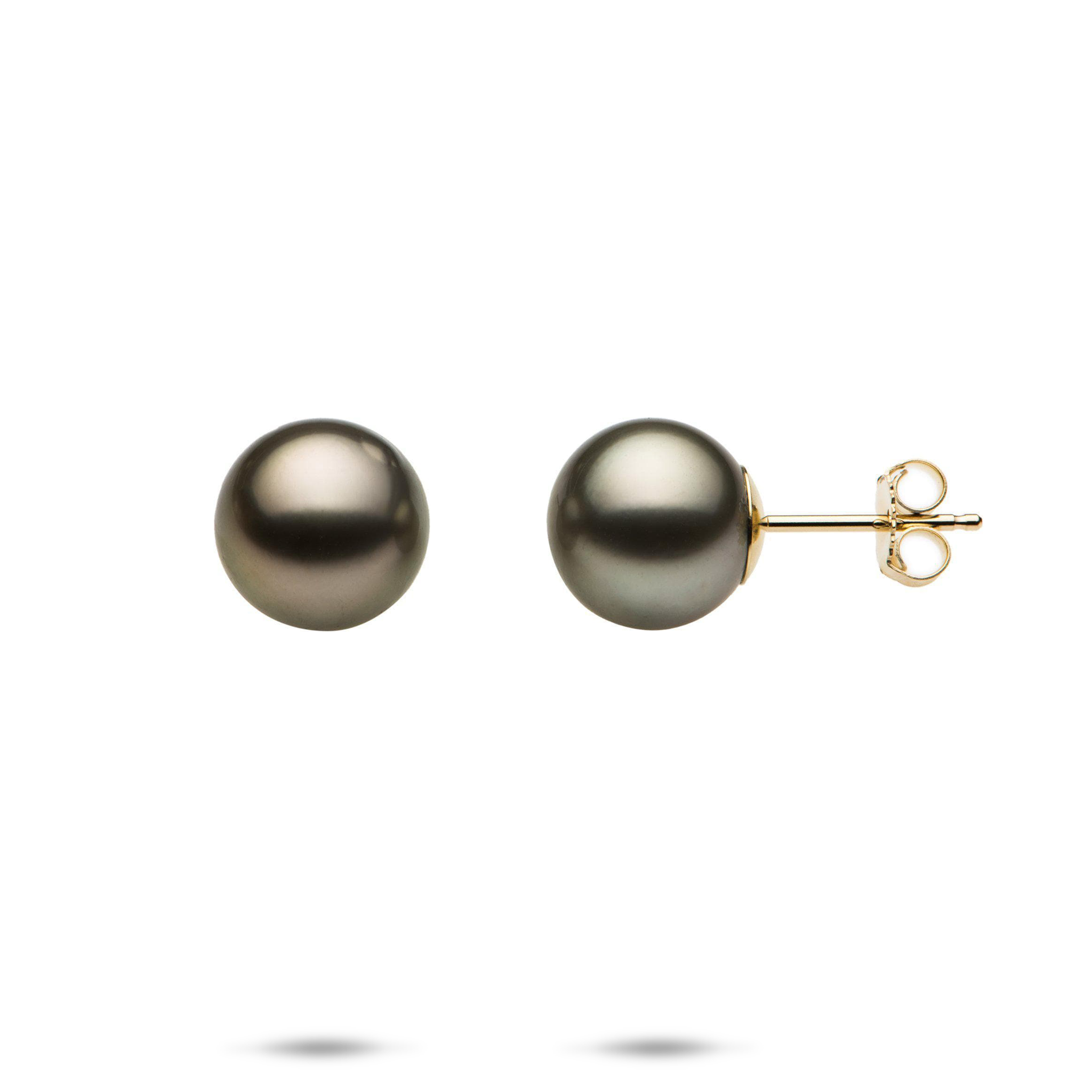 Tahitian Black Pearl Earrings in Gold - 9-10mm