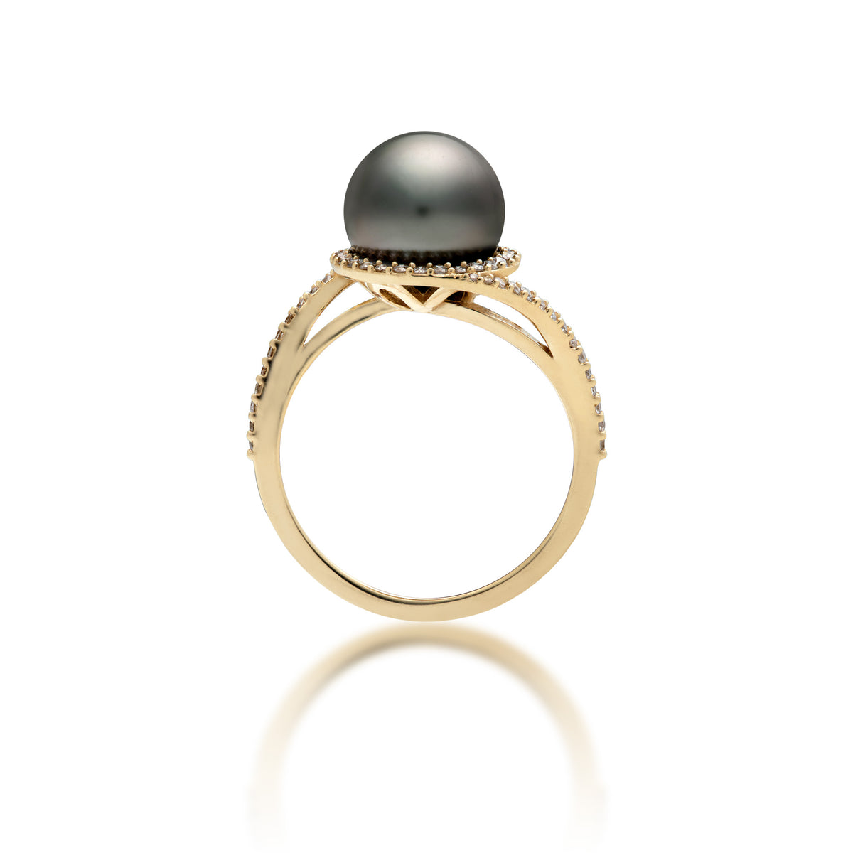 Profile view of a 14k yellow gold ring with a páve diamond band that curves to the top to form a diamond halo around a Tahitian black pearl, shown on a white background