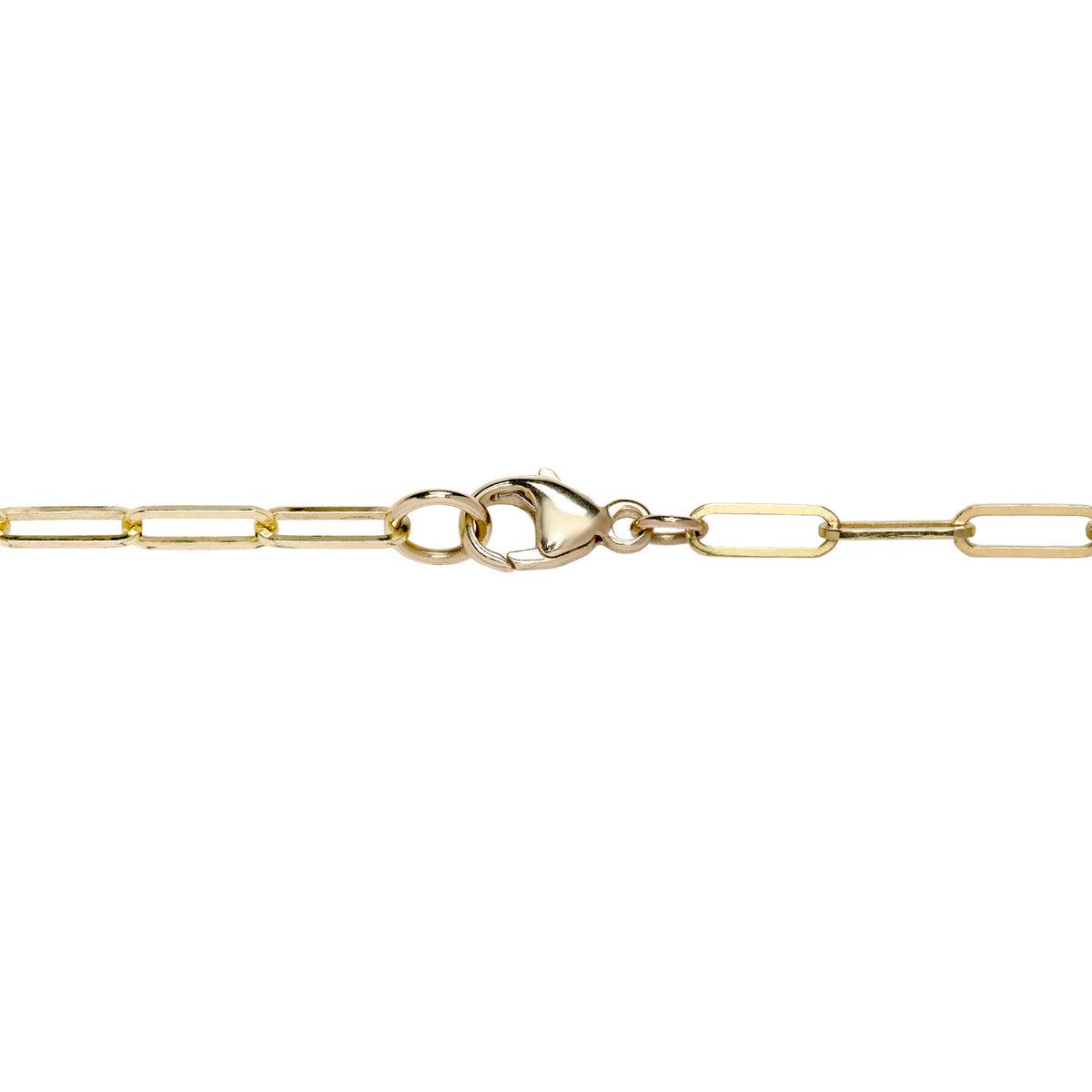 Detail shot of a 14k yellow gold paperclip chain with a lobster claw clasp, shown on a white background
