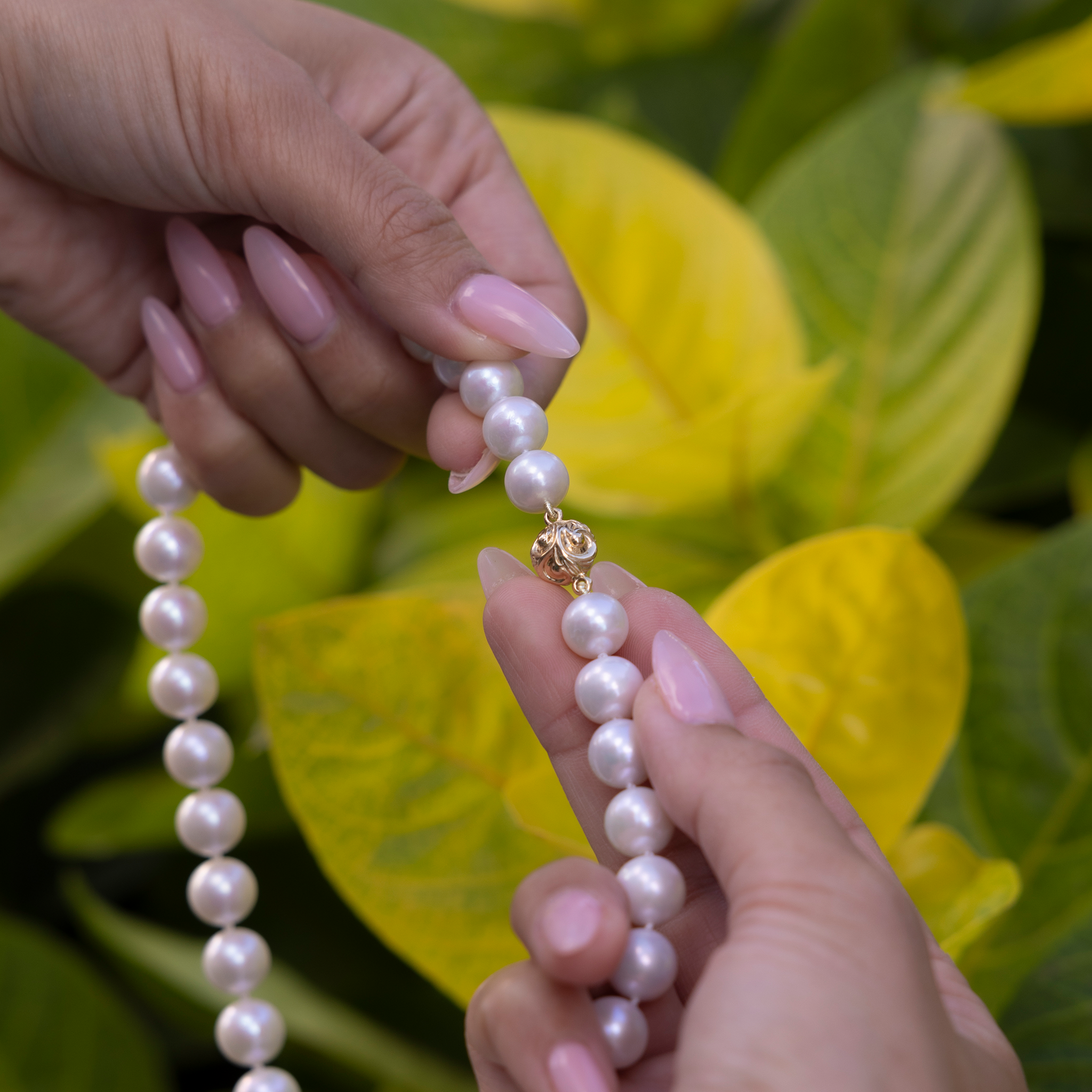 18-19" Freshwater White Pearl Strand with Magnetic Gold Clasp - 9-11mm