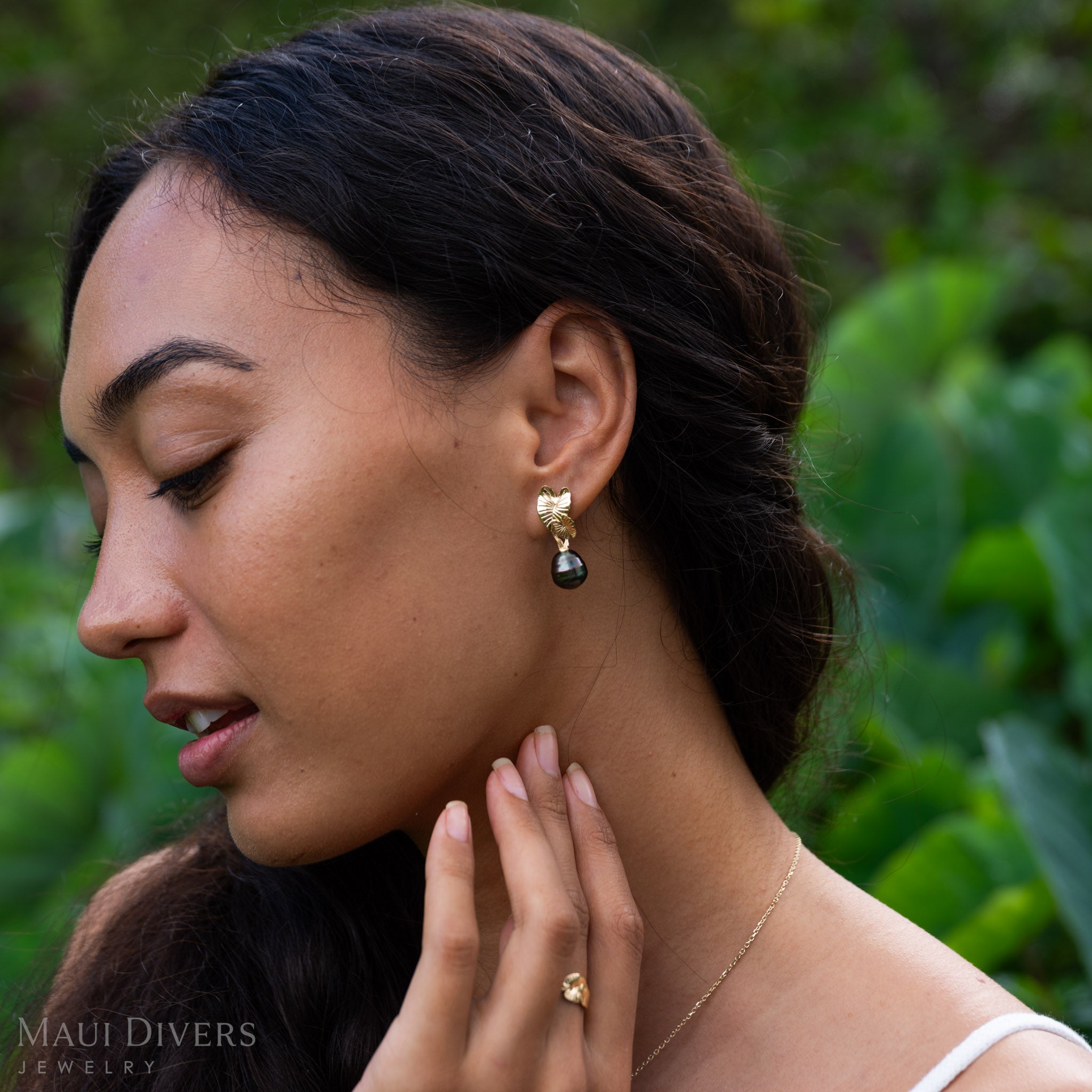 Kalo Tahitian Black Pearl Earrings in Gold - 10-12mm
