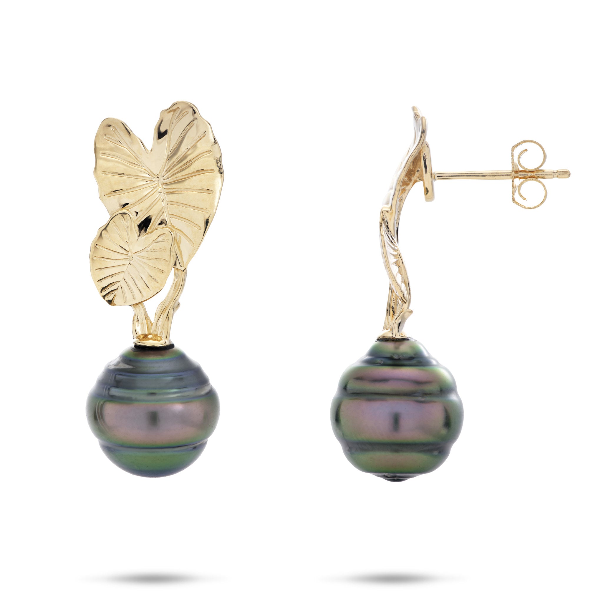 Kalo Tahitian Black Pearl Earrings in Gold - 10-12mm