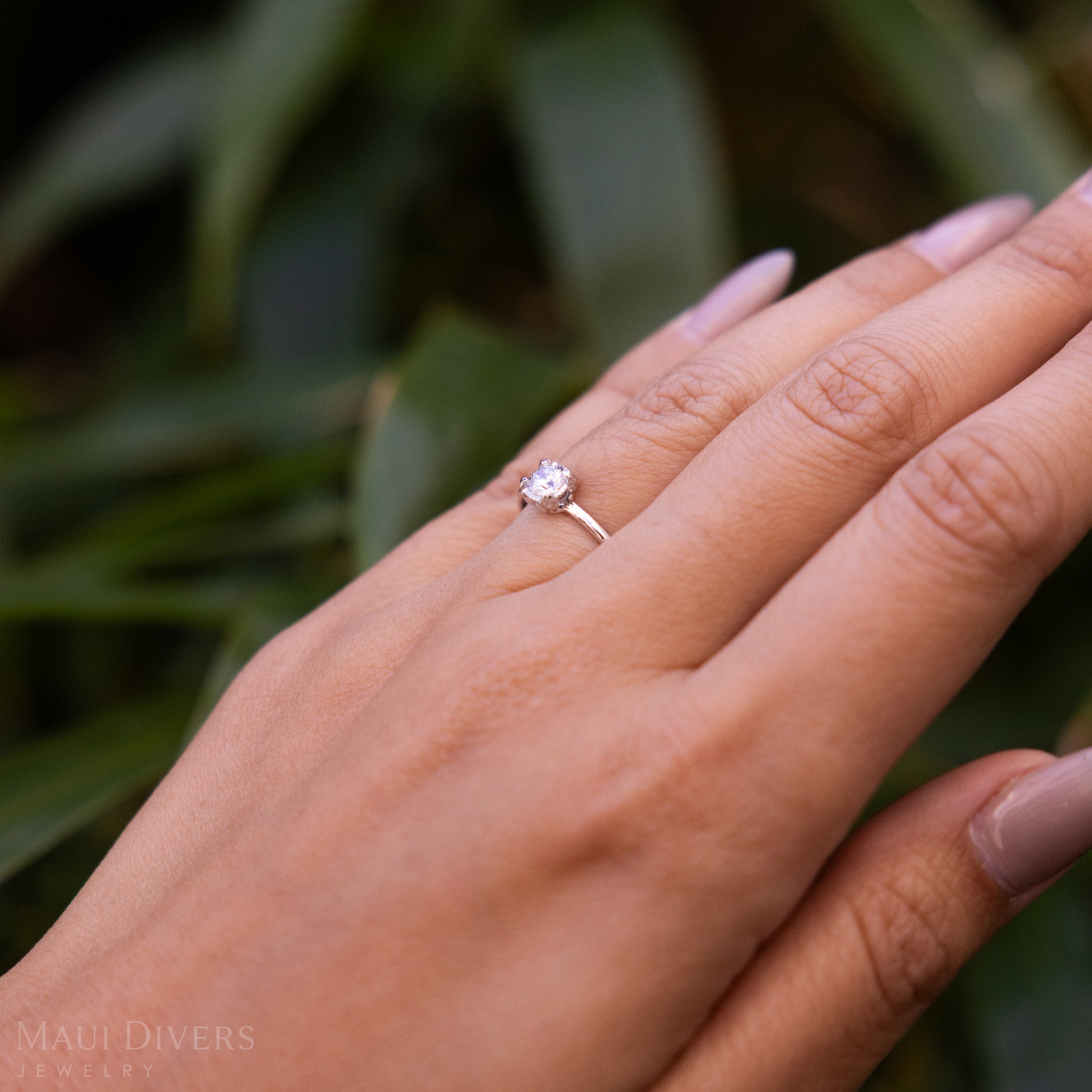 Close-up of a hand wearing a Hidden Hawaiʻi Maile Lab Grown Diamond Ring in 14k white gold on a ring finger, against a blurred leafy background