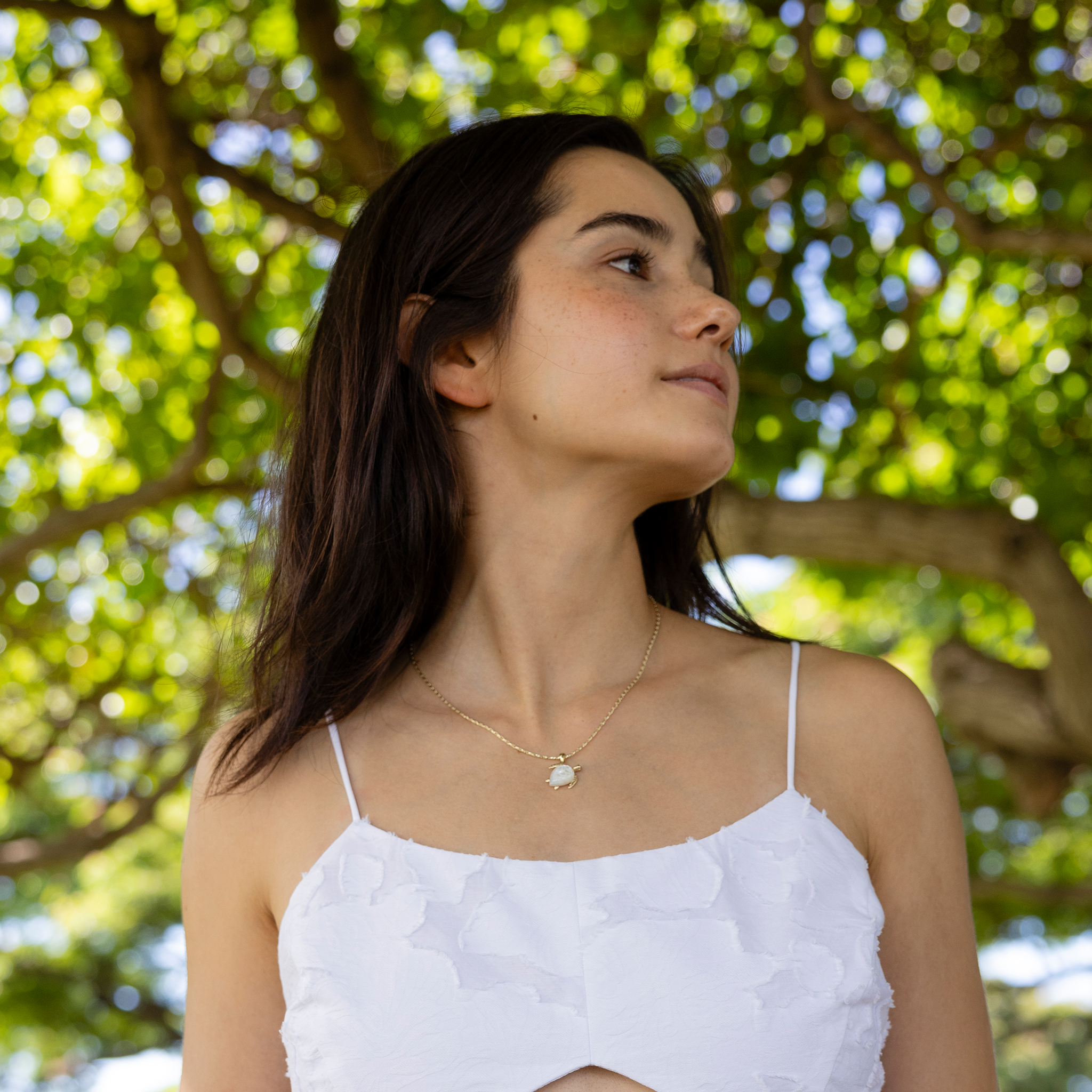 Honu Mother of Pearl Pendant in Gold - 16mm