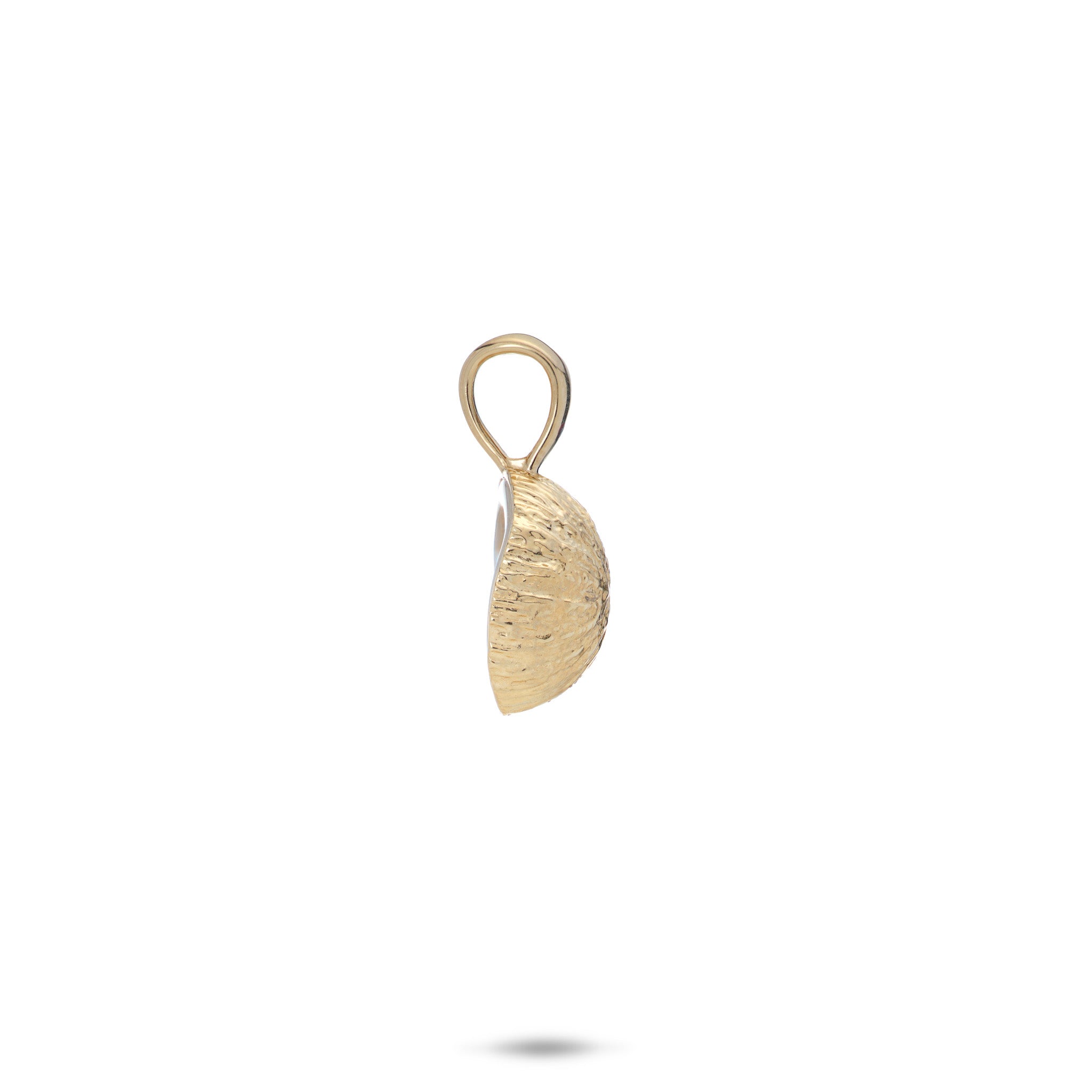 Side view of a Cute Fruits Coconut Mother of Pearl Pendant in 14k yellow gold on a white background