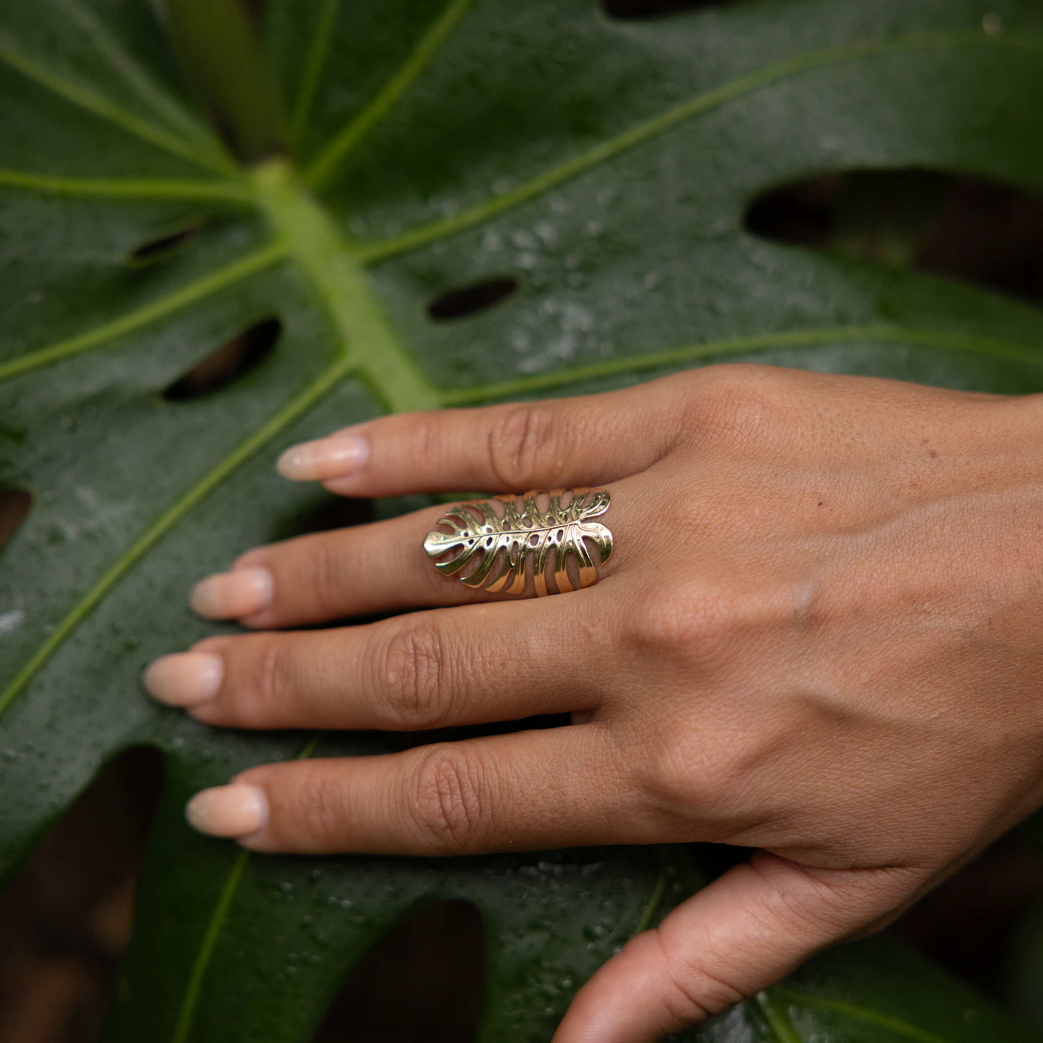 Monstera Ring in Gold - 30mm