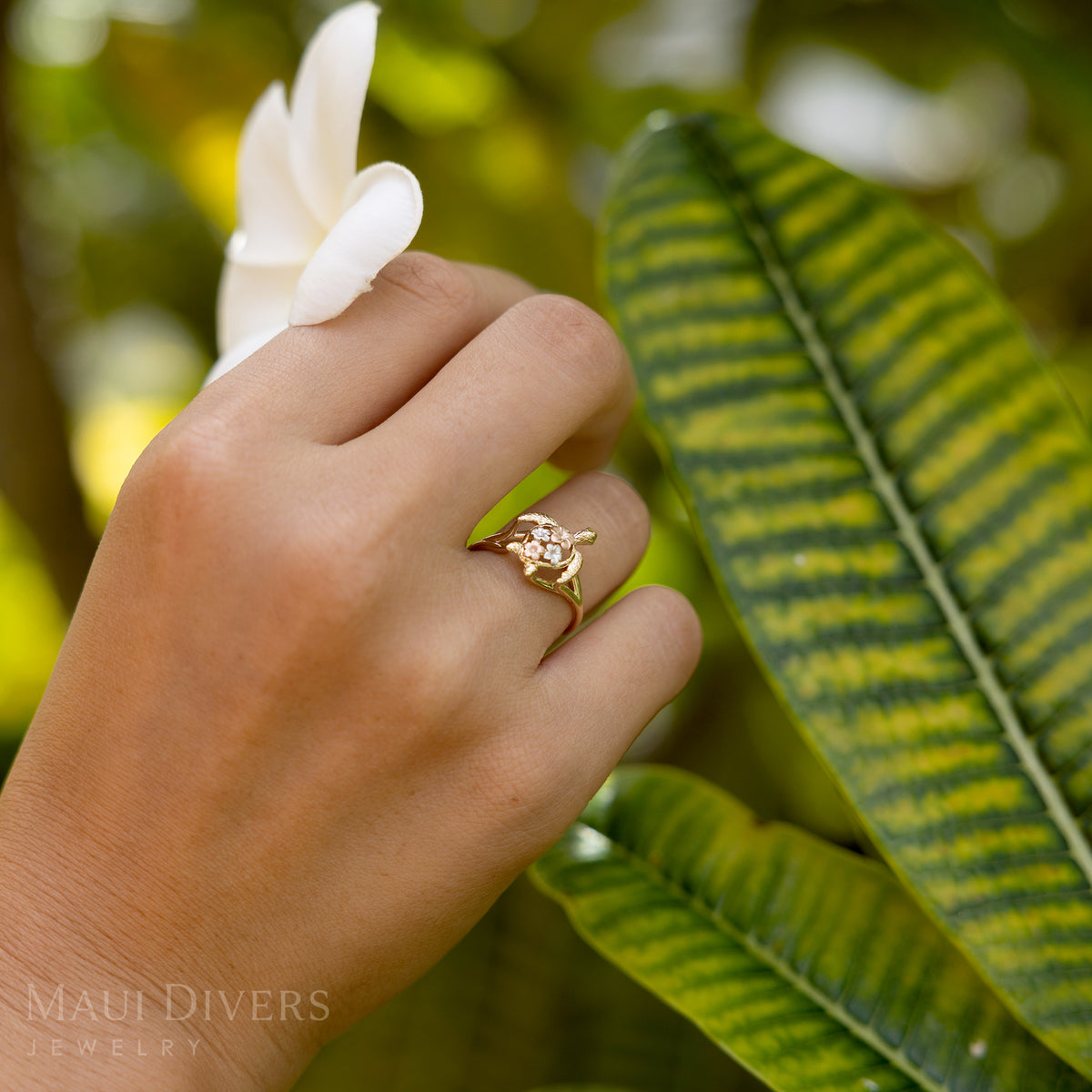 A 14k gold Hawaiian green sea turtle ring with two rose and two white gold plumerias on its back, shown on a hand holing a  plumeria flower, against a blurred plumeria tree in the background