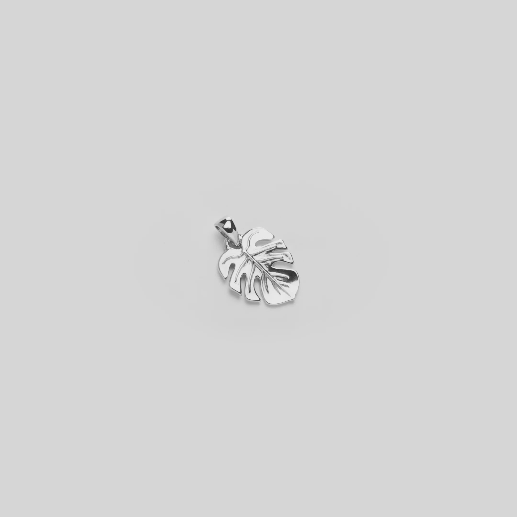 Video of the 18mm Monstera Pendant in Sterling Silver turning on a white background