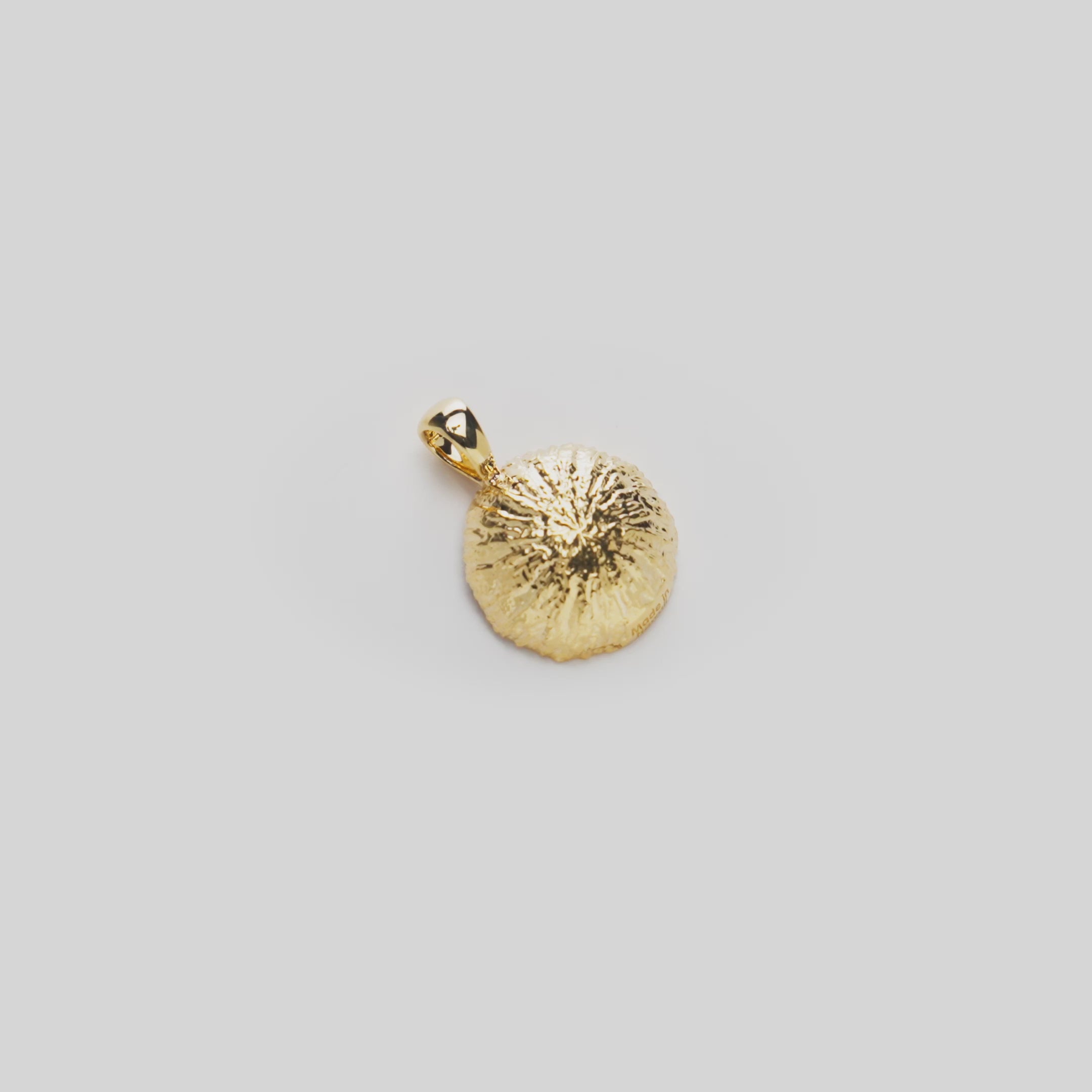 16mm Coconut Pendant with Mother of Pearl Backside in 14k Yellow Gold on a rotating white background