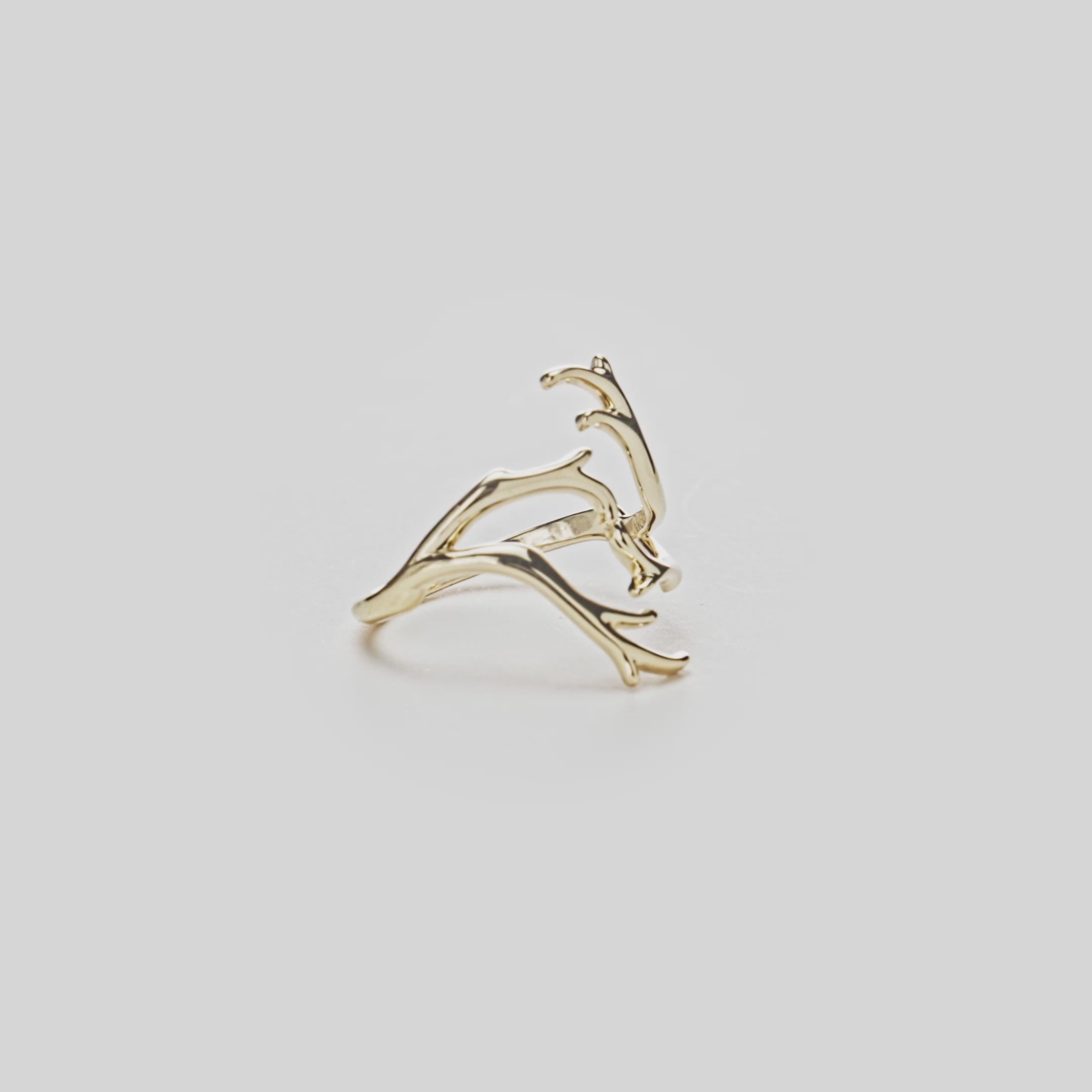 Heritage Coral Branch Ring in Gold on a white turntable