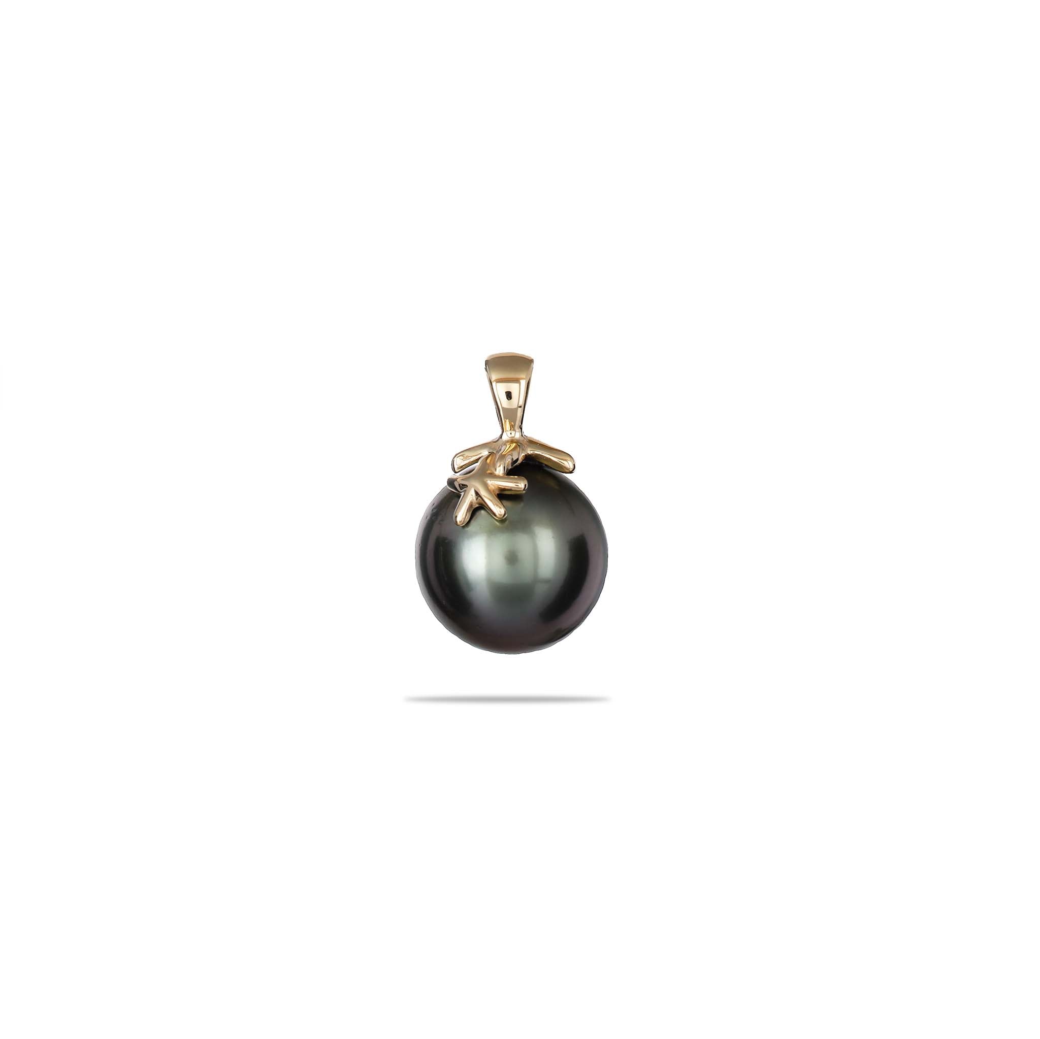 Reefs Starfish Tahitian Black Pearl Pendant in Gold - 10-11mm